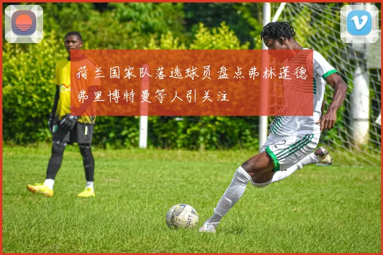 荷兰国家队落选球员盘点弗林蓬德弗里博特曼等人引关注