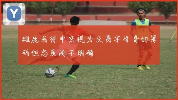 雄鹿或将申京视为交易字母哥的筹码但态度尚不明确